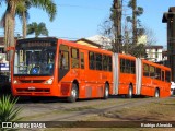 Araucária Transportes Coletivos LE847 na cidade de Curitiba, Paraná, Brasil, por Rodrigo Almeida. Número da foto: #10143278.