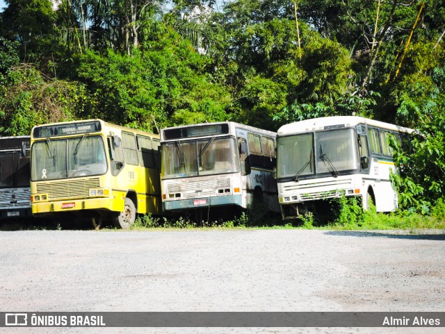 Auto Viação Rainha 907 na cidade de Blumenau, Santa Catarina, Brasil, por Almir Alves. ID da foto: 10203504.