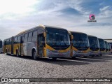 Transportes Capellini 23032 na cidade de Hortolândia, São Paulo, Brasil, por Henrique Alves de Paula Silva. Número da foto: #10209034.
