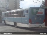 São Jorge de Transportes 246 na cidade de Pelotas, Rio Grande do Sul, Brasil, por Miguel Filho. Número da foto: #10211188.