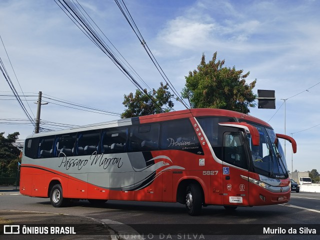 Empresa de Ônibus Pássaro Marron 5827 na cidade de São Paulo, São Paulo, Brasil, por Murilo da Silva. Número da foto: #10213773.