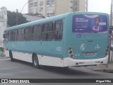 Transportes Santa Maria 602 na cidade de Pelotas, Rio Grande do Sul, Brasil, por Miguel Filho. Número da foto: #:id.