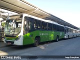 Tijuquinha - Auto Viação Tijuca C50206 na cidade de Rio de Janeiro, Rio de Janeiro, Brasil, por Jorge Gonçalves. Número da foto: #10213607.