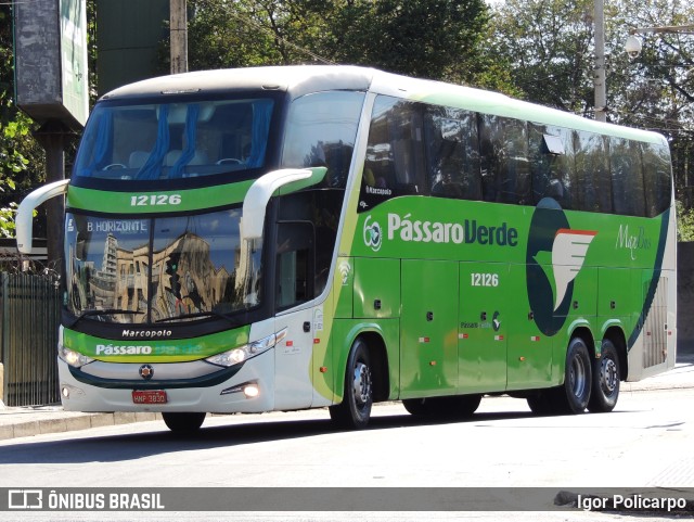 Pássaro Verde 12126 na cidade de Belo Horizonte, Minas Gerais, Brasil, por Igor Policarpo. Número da foto: #10219260.