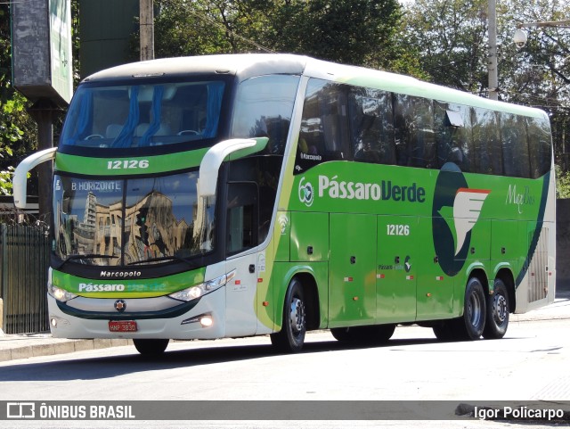 Pássaro Verde 12126 na cidade de Belo Horizonte, Minas Gerais, Brasil, por Igor Policarpo. ID da foto: 10219260.