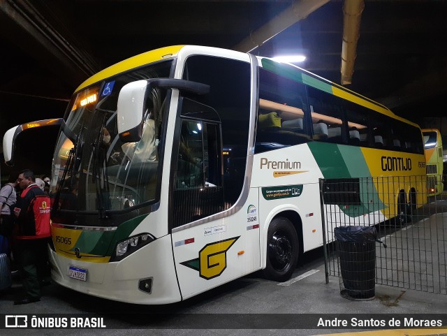 Empresa Gontijo de Transportes 15065 na cidade de São Paulo, São Paulo, Brasil, por Andre Santos de Moraes. ID da foto: 10226852.