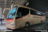 Primera Plus 5339 na cidade de Querétaro, Querétaro, México, por Omar Ramírez Thor2102. Número da foto: #10228994.