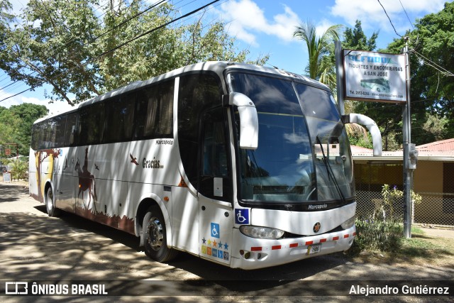 Alfaro GRACIAS na cidade de Tamarindo, Santa Cruz, Guanacaste, Costa Rica, por Alejandro Gutiérrez. Número da foto: #10233585.