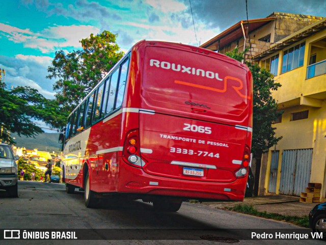 Rouxinol 2065 na cidade de Ibirité, Minas Gerais, Brasil, por Pedro Henrique VM. ID da foto: 10147403.