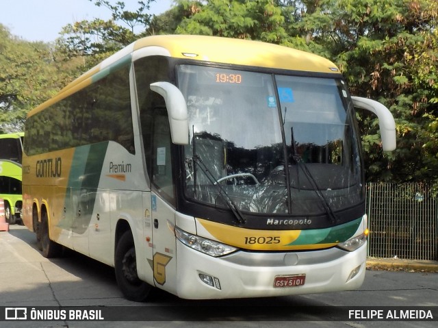 Empresa Gontijo de Transportes 18025 na cidade de São Paulo, São Paulo, Brasil, por FELIPE ALMEIDA. ID da foto: 10152551.