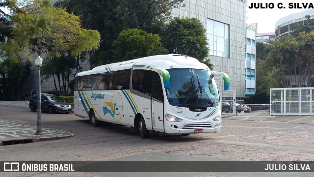 Transporte Argenta - Argentur 974 na cidade de Porto Alegre, Rio Grande do Sul, Brasil, por JULIO SILVA. Número da foto: #10153120.