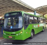 Dinatur Traslados e Turismo M12006 na cidade de Mairiporã, São Paulo, Brasil, por Clóvis Henryque Pacheco dos Santos. Número da foto: #:id.