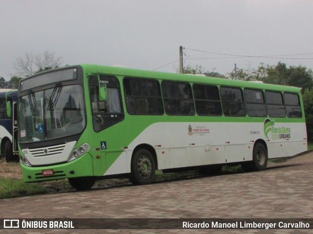 Flor da Serra 340 na cidade de Santa Cruz do Sul, Rio Grande do Sul, Brasil, por Ricardo Manoel Limberger Carvalho. Número da foto: #10154628.