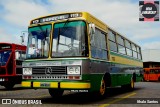 Ônibus Particulares 113 na cidade de Curitiba, Paraná, Brasil, por Ithalo Santos. ID da foto: :id.