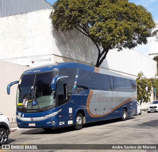 Bia Turismo > Aellos de Ouro 8214 na cidade de São Paulo, São Paulo, Brasil, por Andre Santos de Moraes. Número da foto: #10160552.