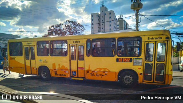 Independência > Trans Oeste Transportes 30445 na cidade de Belo Horizonte, Minas Gerais, Brasil, por Pedro Henrique VM. Número da foto: #10163181.