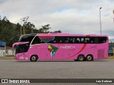 Nova América Turismo 2500 na cidade de Queluz, São Paulo, Brasil, por Luiz Krolman. Número da foto: #10165131.