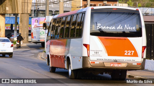 Branca de Neve Turismo 227 na cidade de Campo Limpo Paulista, São Paulo, Brasil, por Murilo da Silva. Número da foto: #10237213.