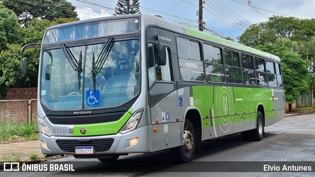 Viação Garcia 81016 na cidade de Maringá, Paraná, Brasil, por Elvio Antunes. Número da foto: #10239324.