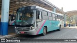 Rosa Turismo Mairiporã 13550 na cidade de Mairiporã, São Paulo, Brasil, por Alex Marques. Número da foto: #10239256.