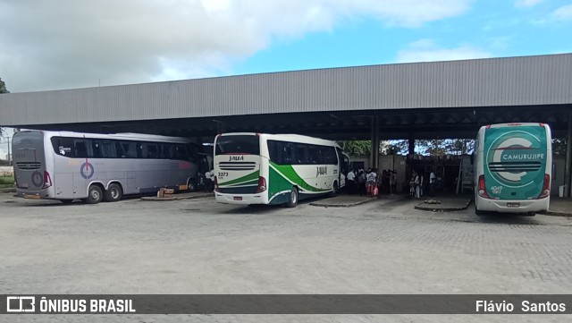 Auto Viação Camurujipe 4049 na cidade de Cruz das Almas, Bahia, Brasil, por Flávio  Santos. Número da foto: #10265087.