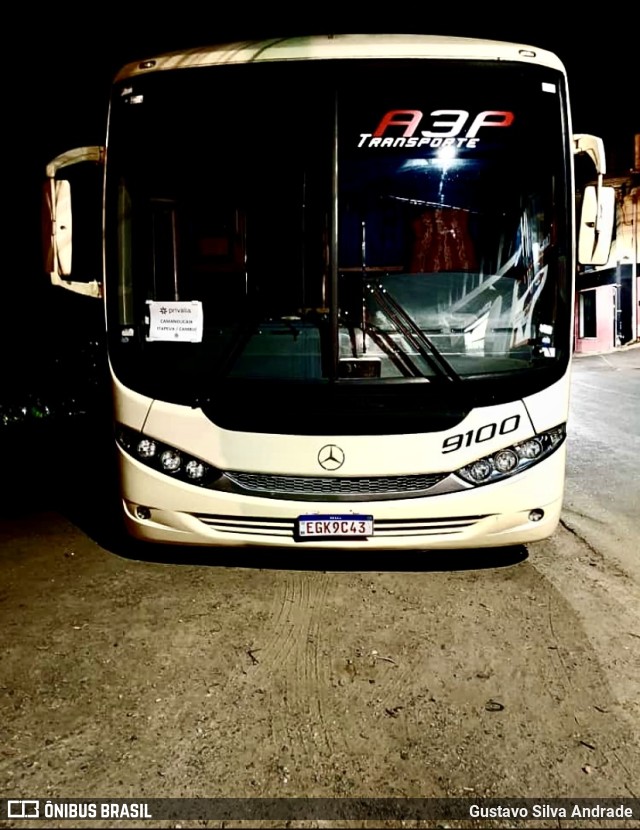 A3P Transportes e Turismo 9100 na cidade de Minas Gerais, Brasil, por Gustavo Silva Andrade. Número da foto: #10264620.