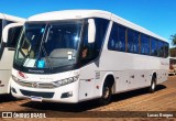 Vera Cruz Transporte e Turismo 2660 na cidade de Araxá, Minas Gerais, Brasil, por Lucas Borges . Número da foto: #10272350.