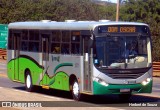 Turin Transportes 1377 na cidade de Congonhas, Minas Gerais, Brasil, por Herbert de Souza. Número da foto: #10282457.
