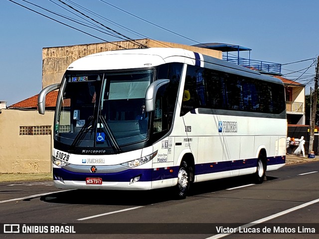 Princesa do Norte 51029 na cidade de Londrina, Paraná, Brasil, por Victor Lucas de Matos Lima. ID da foto: 10283568.