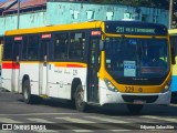 Empresa Metropolitana 229 na cidade de Recife, Pernambuco, Brasil, por Edjunior Sebastião. Número da foto: #:id.