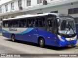 Transcal Sul Transportes Coletivos 24834 na cidade de Porto Alegre, Rio Grande do Sul, Brasil, por Wellington Machado. Número da foto: #:id.