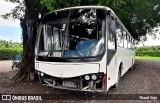 Autobuses sin identificación - Costa Rica  na cidade de Siquirres, Siquirres, Limón, Costa Rica, por Yliand Sojo. Número da foto: #:id.