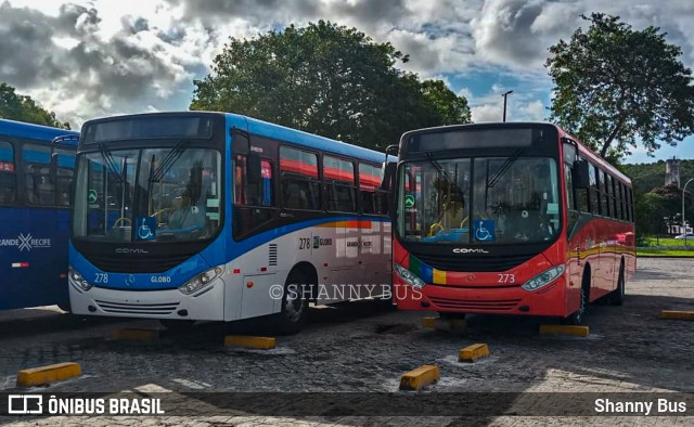 Transportadora Globo 273 na cidade de Paulista, Pernambuco, Brasil, por Shanny Bus. Número da foto: #10292792.