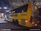 Empresa Gontijo de Transportes 15005 na cidade de São Paulo, São Paulo, Brasil, por Michel Eduardo da Silva. Número da foto: #10239832.