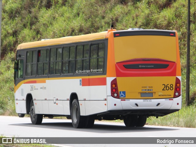 Empresa Metropolitana 268 na cidade de Novo Lino, Alagoas, Brasil, por Rodrigo Fonseca. Número da foto: #10302406.