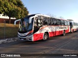 Empresa Irmãos Lessa 3500 na cidade de Vespasiano, Minas Gerais, Brasil, por Alyson Caetano. Número da foto: #10299822.
