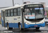 Via Loc BJ-93805 na cidade de Ananindeua, Pará, Brasil, por Fabio Soares. Número da foto: #10299763.