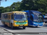 Prefeitura Municipal de Murici 067 na cidade de Maceió, Alagoas, Brasil, por Wesley Barros. Número da foto: #10300434.