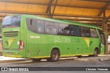 Pássaro Verde 15131 na cidade de Coimbra, Minas Gerais, Brasil, por Christian  Fortunato. Número da foto: #:id.
