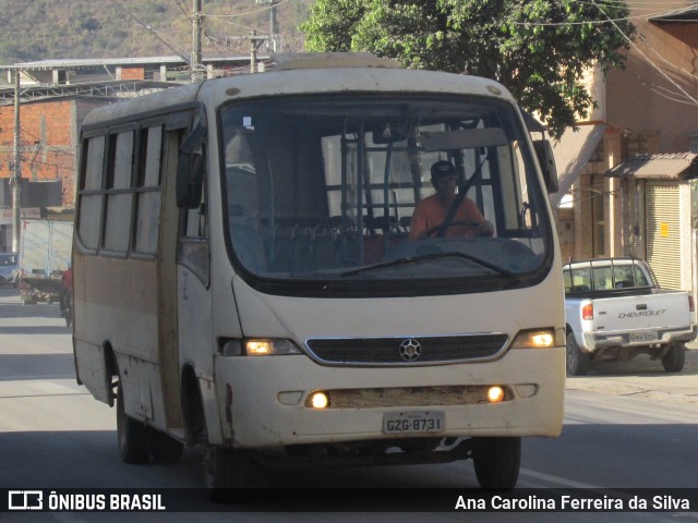 Ônibus Particulares GZG8731 na cidade de Timóteo, Minas Gerais, Brasil, por Ana Carolina Ferreira da Silva. Número da foto: #10303628.