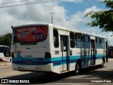 Viação Progresso 1209 na cidade de Aracaju, Sergipe, Brasil, por Cristopher Pietro. ID da foto: :id.