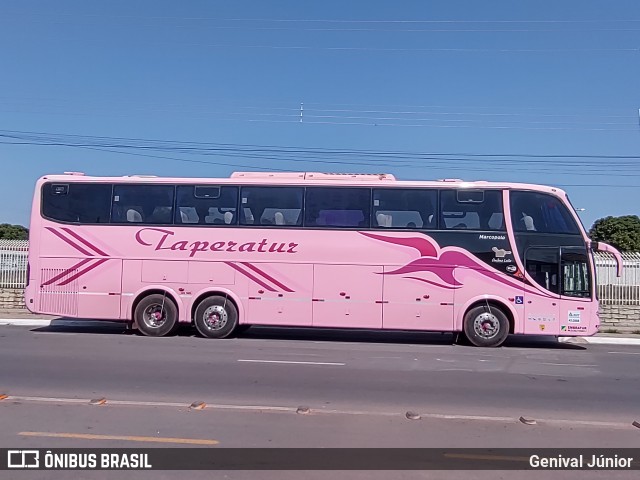 Taperatur 014 na cidade de Corumbá, Mato Grosso do Sul, Brasil, por Genival Júnior. Número da foto: #10307622.