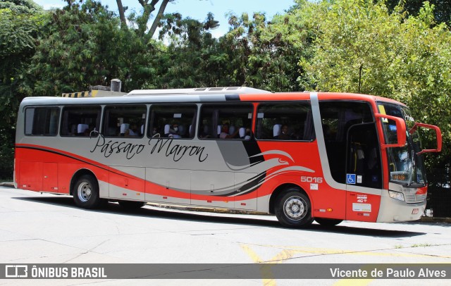 Empresa de Ônibus Pássaro Marron 5016 na cidade de São Paulo, São Paulo, Brasil, por Vicente de Paulo Alves. Número da foto: #10307262.