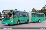 Araucária Transportes Coletivos LB605 na cidade de Curitiba, Paraná, Brasil, por Diego Lip. Número da foto: #10307451.