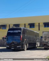 Edson Lima & Forró Gatinha Manhosa 2808 na cidade de Senhor do Bonfim, Bahia, Brasil, por Wagner Michel Alves Leite. Número da foto: #:id.