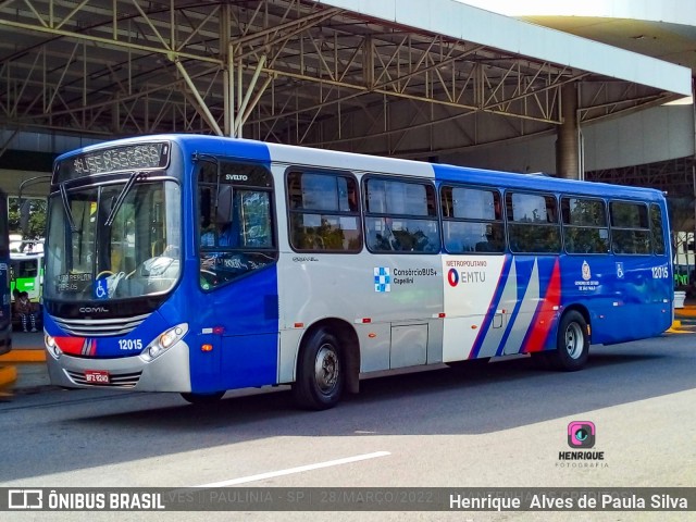 Transportes Capellini 12015 na cidade de Paulínia, São Paulo, Brasil, por Henrique Alves de Paula Silva. Número da foto: #10315722.