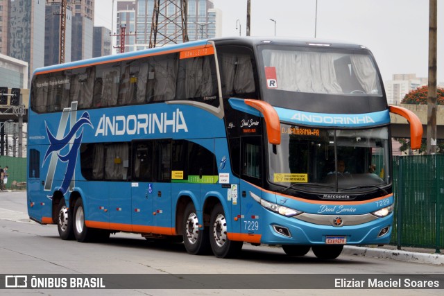 Empresa de Transportes Andorinha 7229 na cidade de São Paulo, São Paulo, Brasil, por Eliziar Maciel Soares. ID da foto: 10320825.