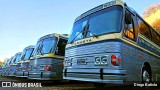 Ônibus Particulares 7096 na cidade de Campinas, São Paulo, Brasil, por Diego Batista. Número da foto: #10325786.
