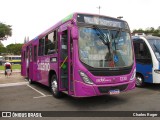 Radial Suzano 1230 na cidade de São Paulo, São Paulo, Brasil, por Charles Roger. Número da foto: #10326305.