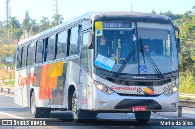 Transportes Capellini 13389 na cidade de Jarinu, São Paulo, Brasil, por Murilo da Silva. Número da foto: #10245815.